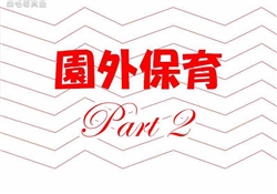 港10-202503月販売1-2966ss-20-2