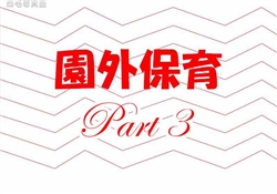 港10-202503月販売1-2966ss-20-3