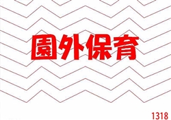 港12-202602月展示1-2066ss-8